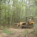 Earl Dowdy Photo 9