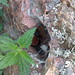 Penny Stone Photo 32