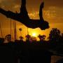 Chris Shea Photo 9