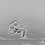 Richard Coe Photo 33