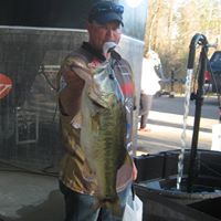 Jesse Wolfe Photo 5