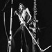 Rod Hall Photo 39
