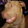 Sedrick Magee Photo 5