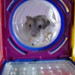 Gary Winters Photo 12