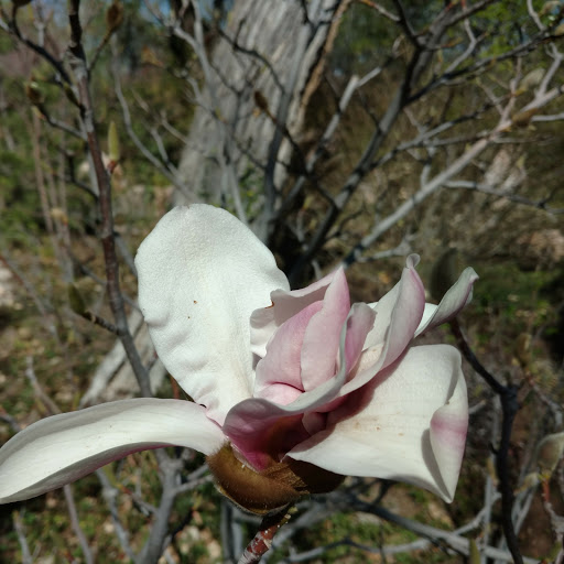 James Winters Photo 31