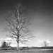 Max Clarke Photo 19