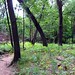 Robert Cowles Photo 43