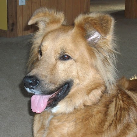 Sherry Ryan Photo 11