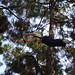 Janet Leap Photo 10