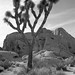 Joshua Masters Photo 39