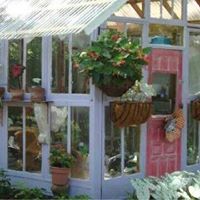 Carol Putnam Photo 27