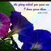 Christian Cephas Photo 1