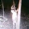 Jerry Riddle Photo 25