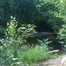Vickie Brooks Photo 31