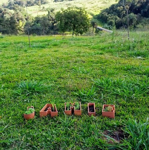 Jamie Willis Photo 12