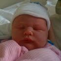 Dorothy Sheehan Photo 4