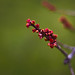 Bud Gruber Photo 3