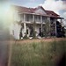 Diana Webster Photo 17