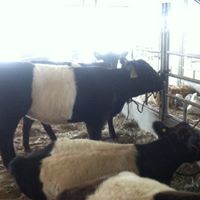 Michele Gentry Photo 21