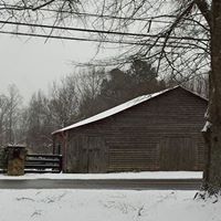 Barry Mitchell Photo 15