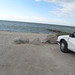 Joseph Caputo Photo 30