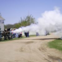Sandi Pratt Photo 8