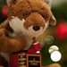 Carol Fox Photo 34