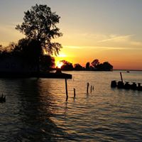 Arthur Schafer Photo 8