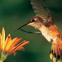 Elaine Andersen Photo 21