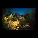 Douglas Ritter Photo 15