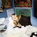 Christina Miller Photo 45