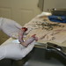 Teresa Tucker Photo 21