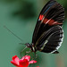 Judy Frazier Photo 21