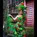 Sharon Curtin Photo 23