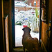 Betsy Winter Photo 13
