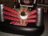 Kathy Franks Photo 28