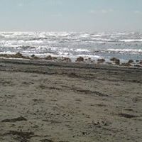 Teresa Gardiner Photo 8