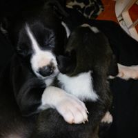Jessie Ouderkirk Photo 3