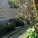 Douglas Austin Photo 21