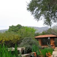 Ann Morey Photo 18