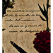 Valentin Vargas Photo 21