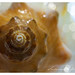 Alvin Summers Photo 10