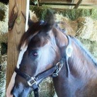 Susan Slusher Photo 11