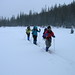 Krista Mcnamara Photo 8