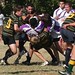 Scott Audet Photo 11