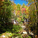 Ruby Curtis Photo 15