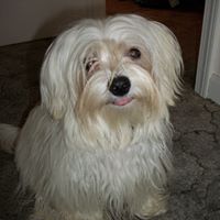 Teresa Salyers Photo 7
