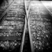 Steven Skelton Photo 15