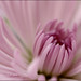 Abdullah Mohammed Photo 30