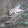 Darrel Daniels Photo 2